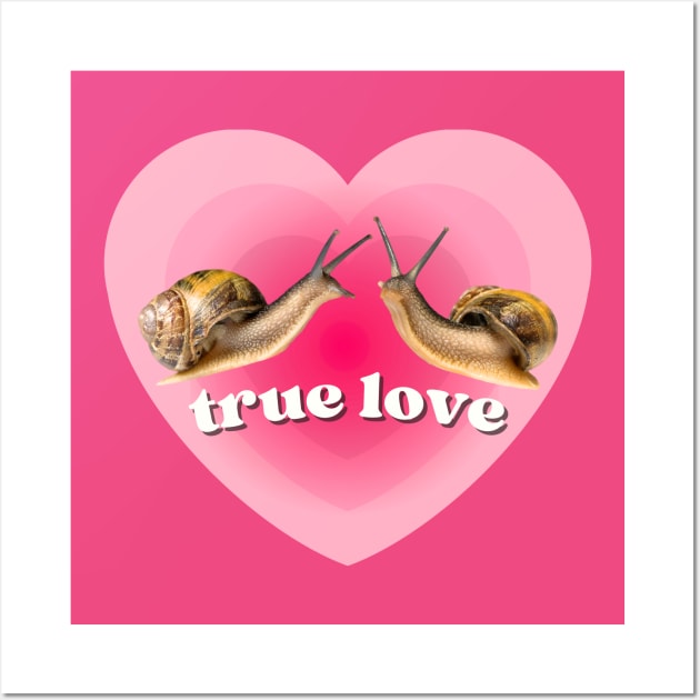 Pink Heart Two Snails in True Love. Funny Weird Gift for Snail Lovers Wall Art by Flourescent Flamingo